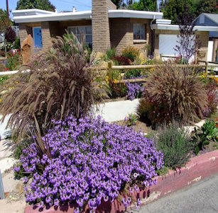 El Segundo Garden